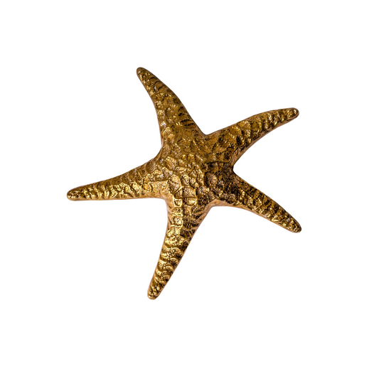 Large Brass Starfish