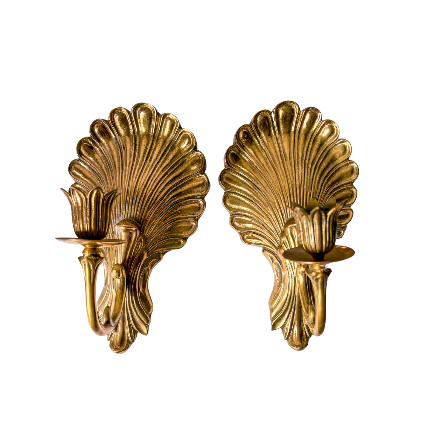 Pair of Brass Shell Candle Sconces