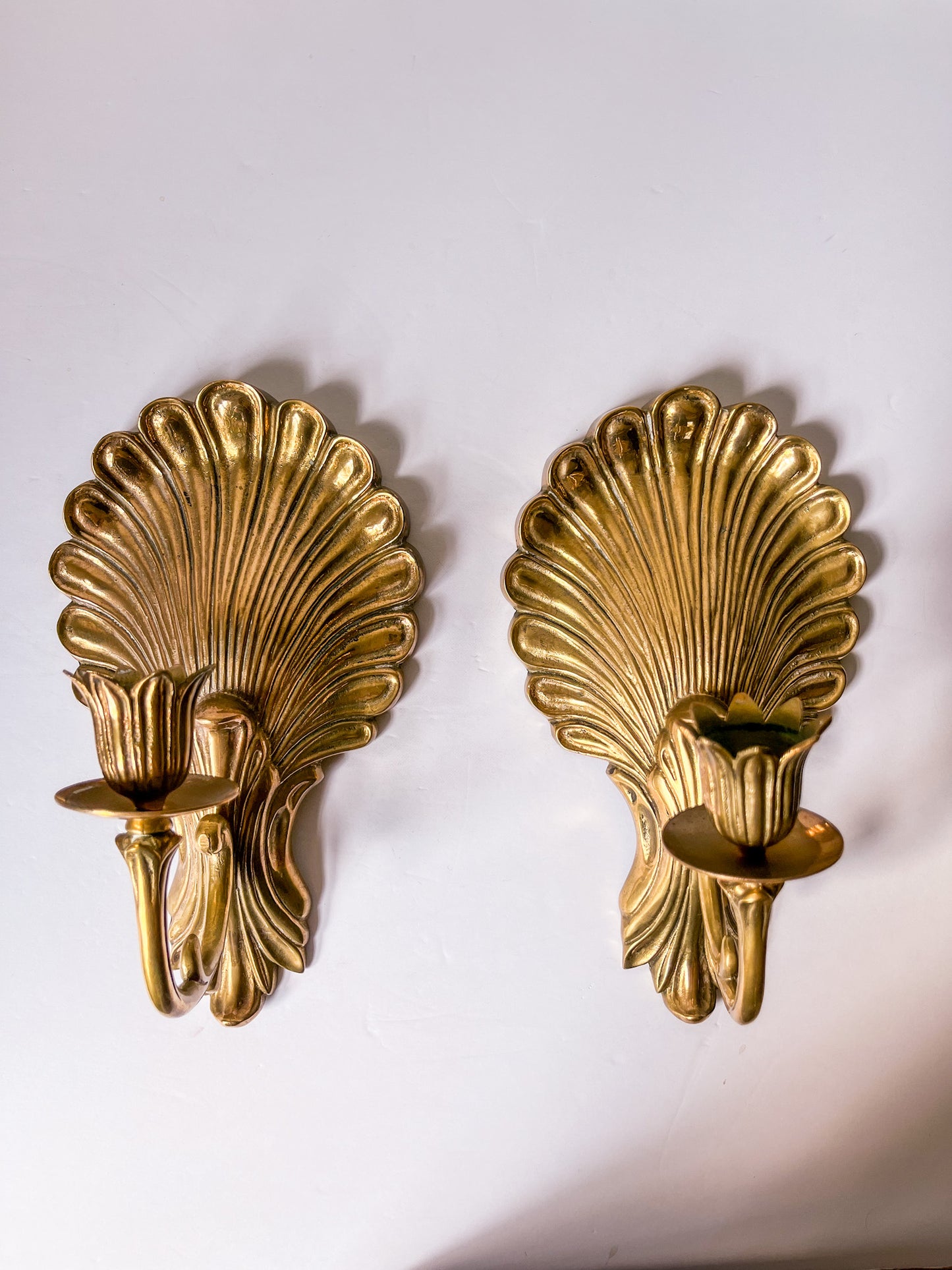 Pair of Brass Shell Candle Sconces