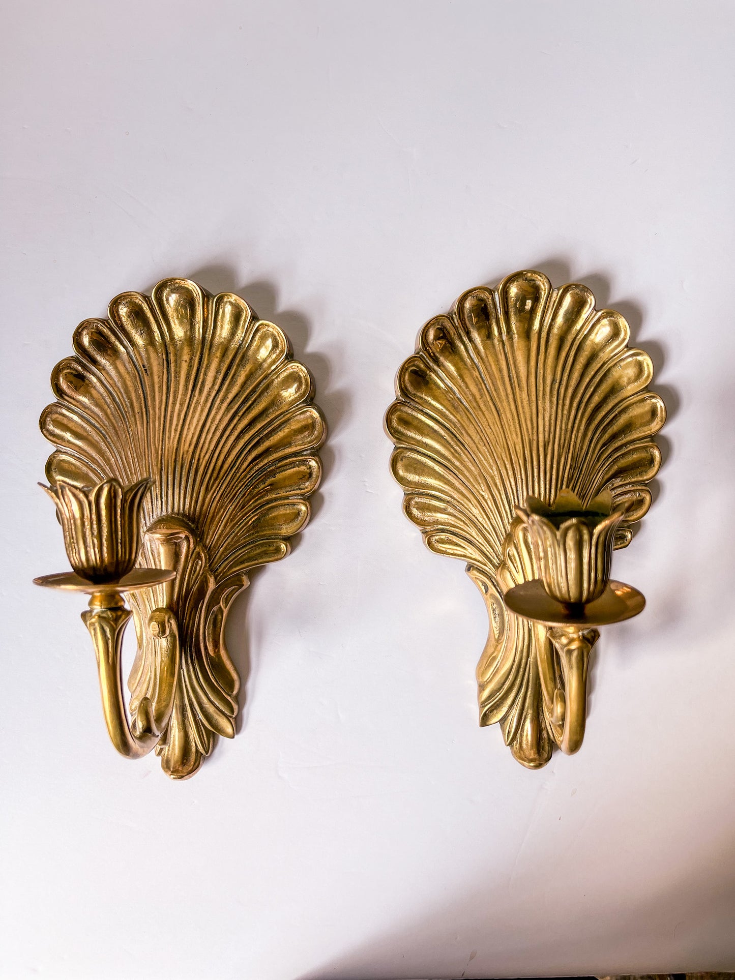 Pair of Brass Shell Candle Sconces