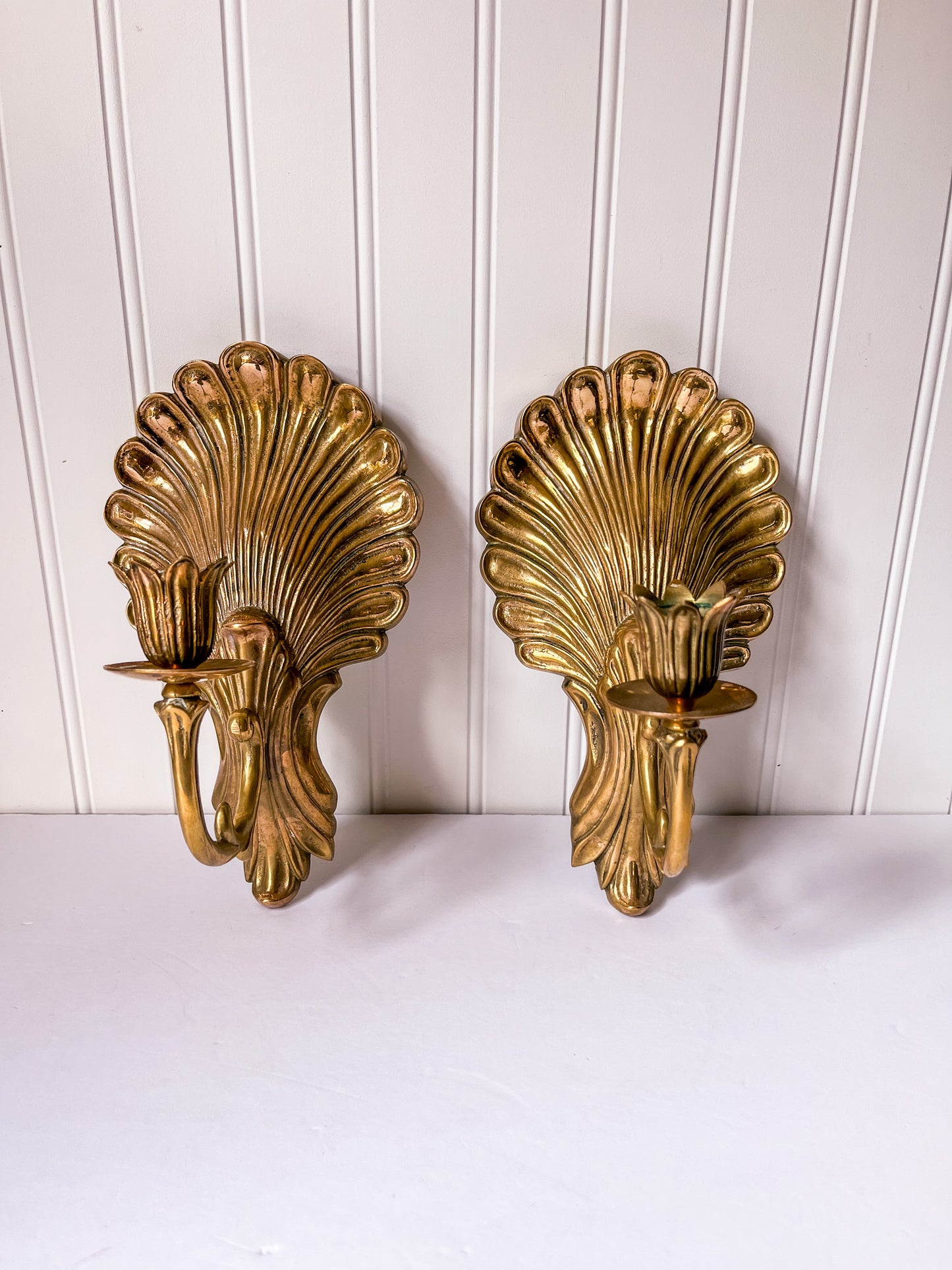 Pair of Brass Shell Candle Sconces