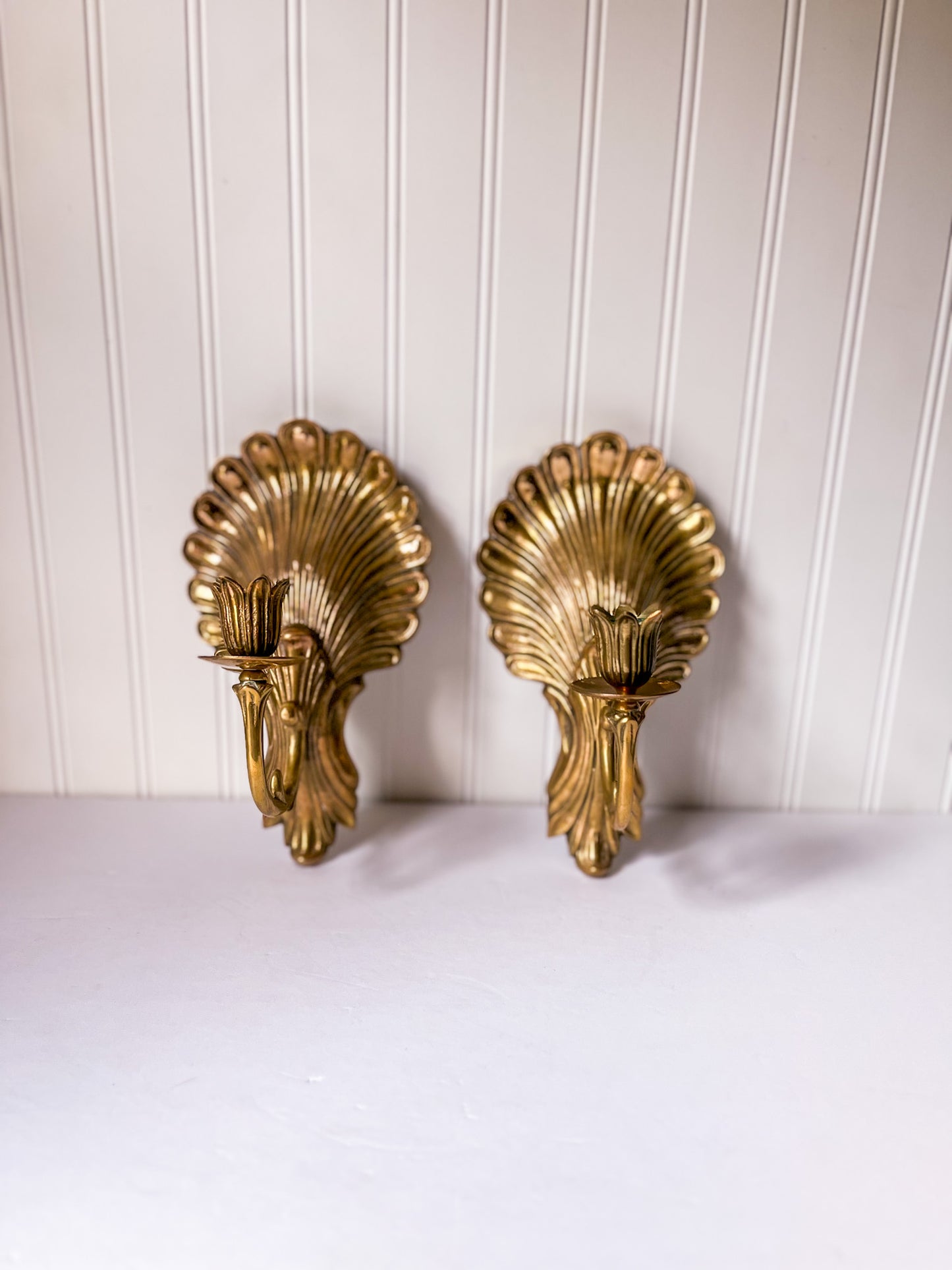 Pair of Brass Shell Candle Sconces