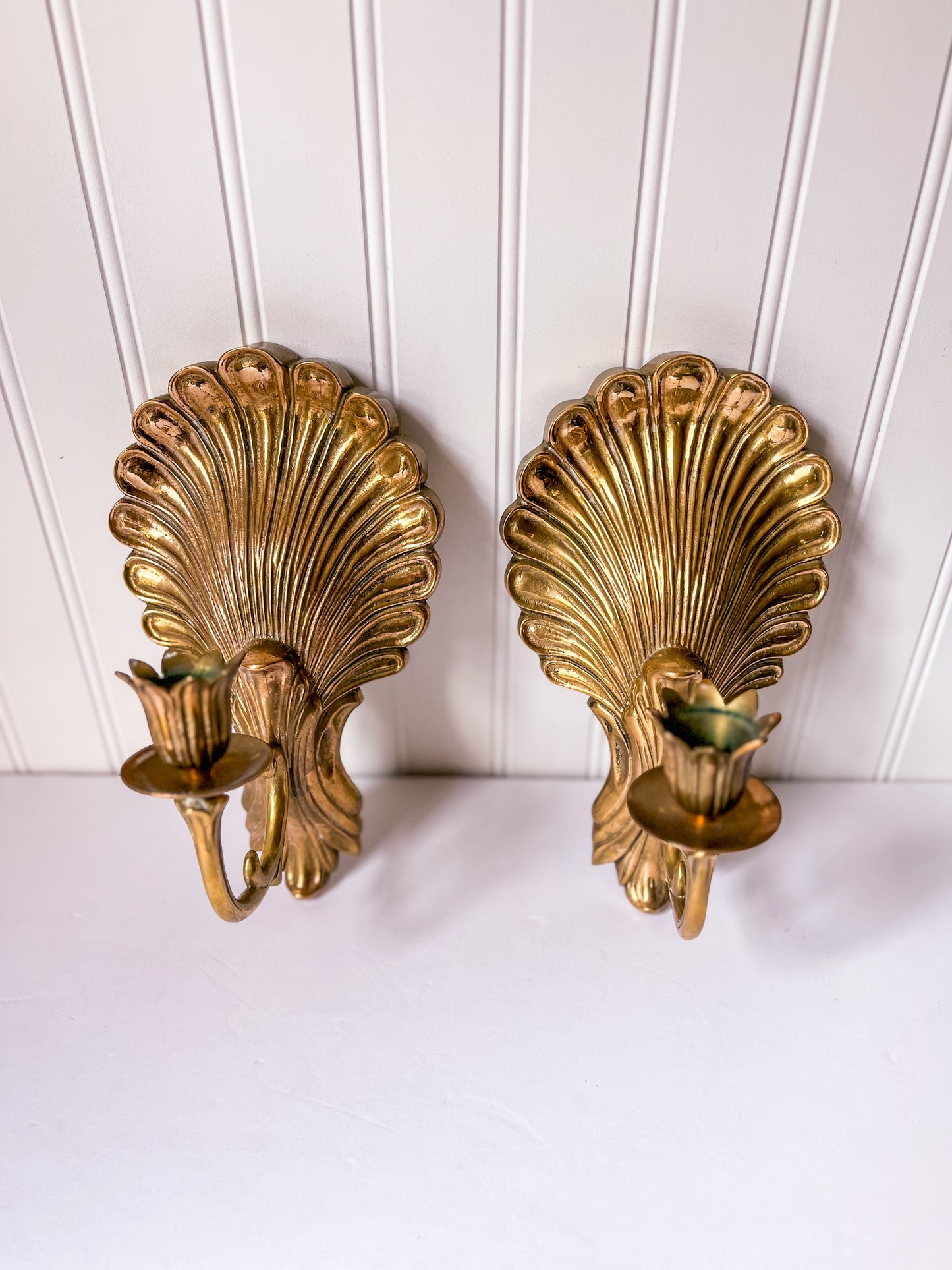 Pair of Brass Shell Candle Sconces