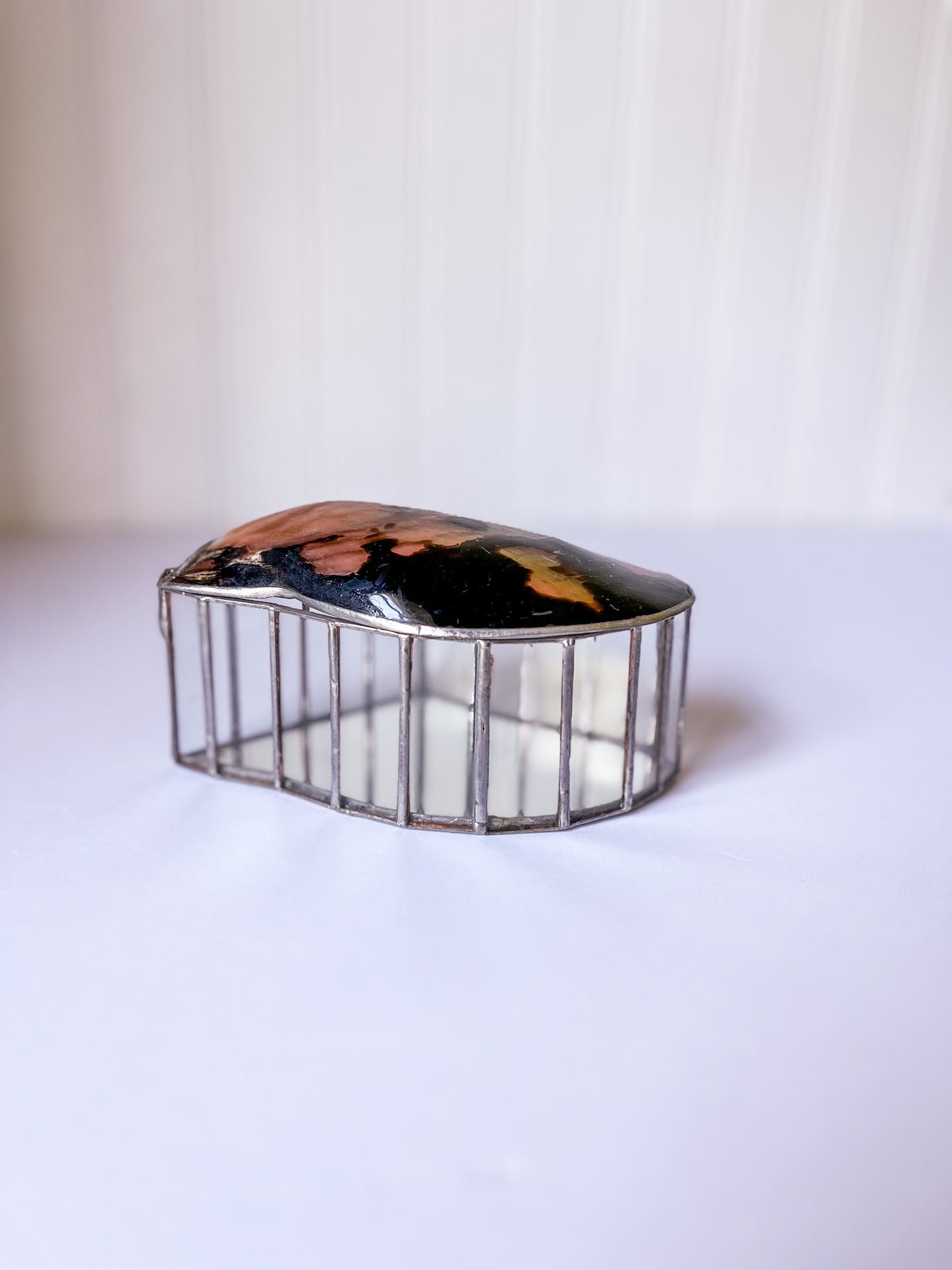 Brown Lipped Oyster Shell Welded Trinket Box