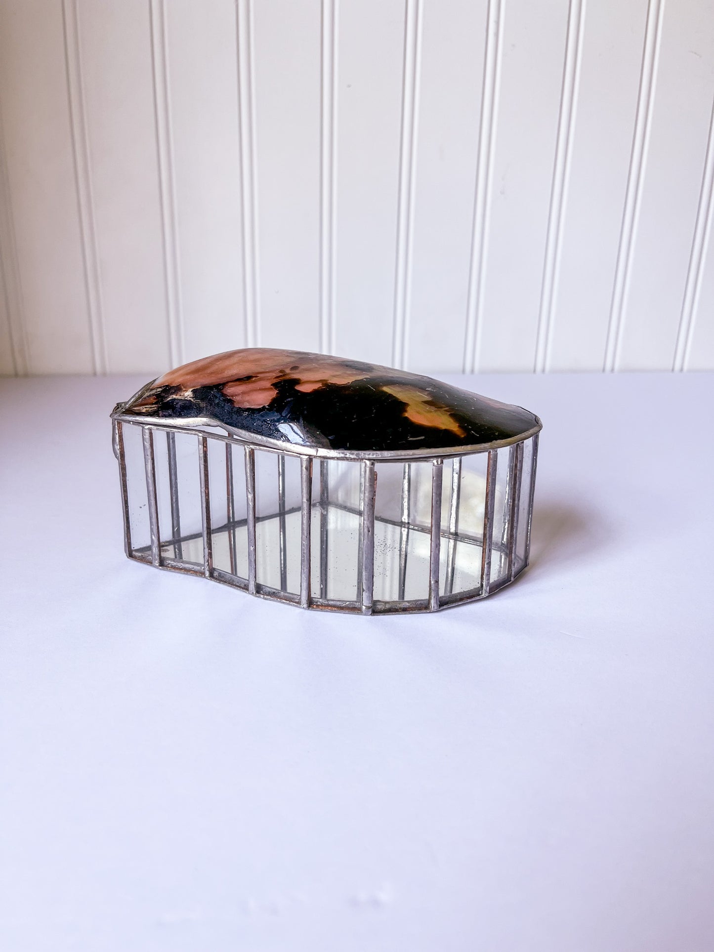 Brown Lipped Oyster Shell Welded Trinket Box