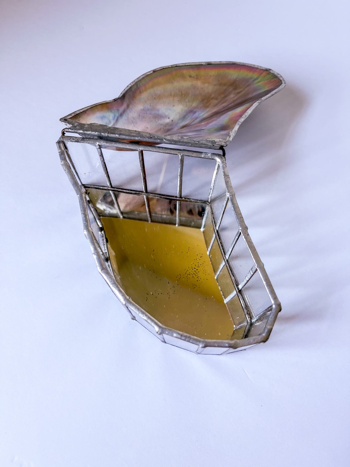 Brown Lipped Oyster Shell Welded Trinket Box