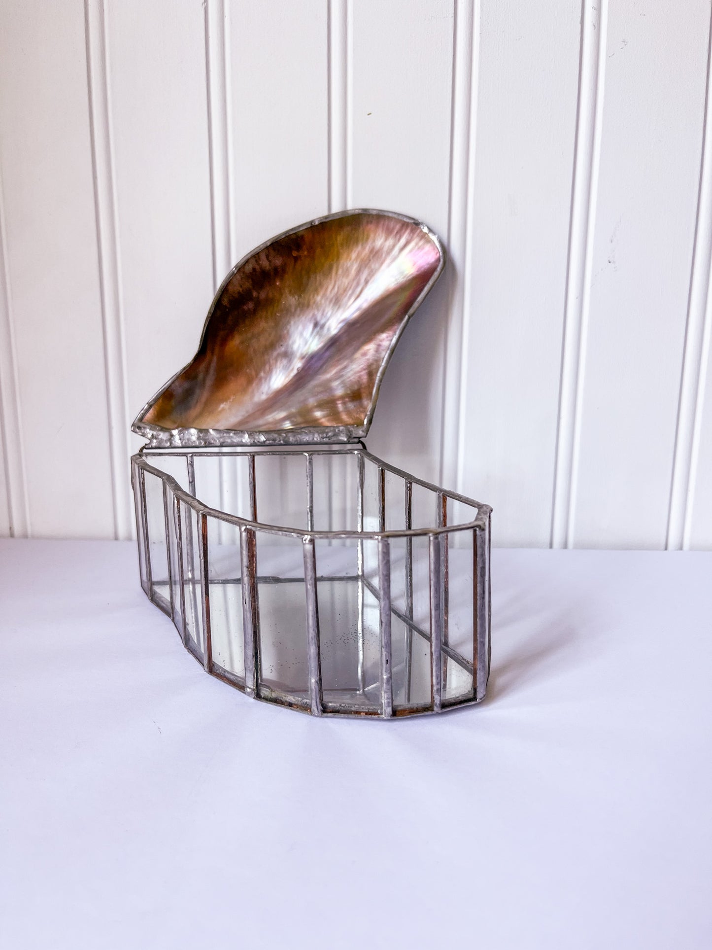 Brown Lipped Oyster Shell Welded Trinket Box