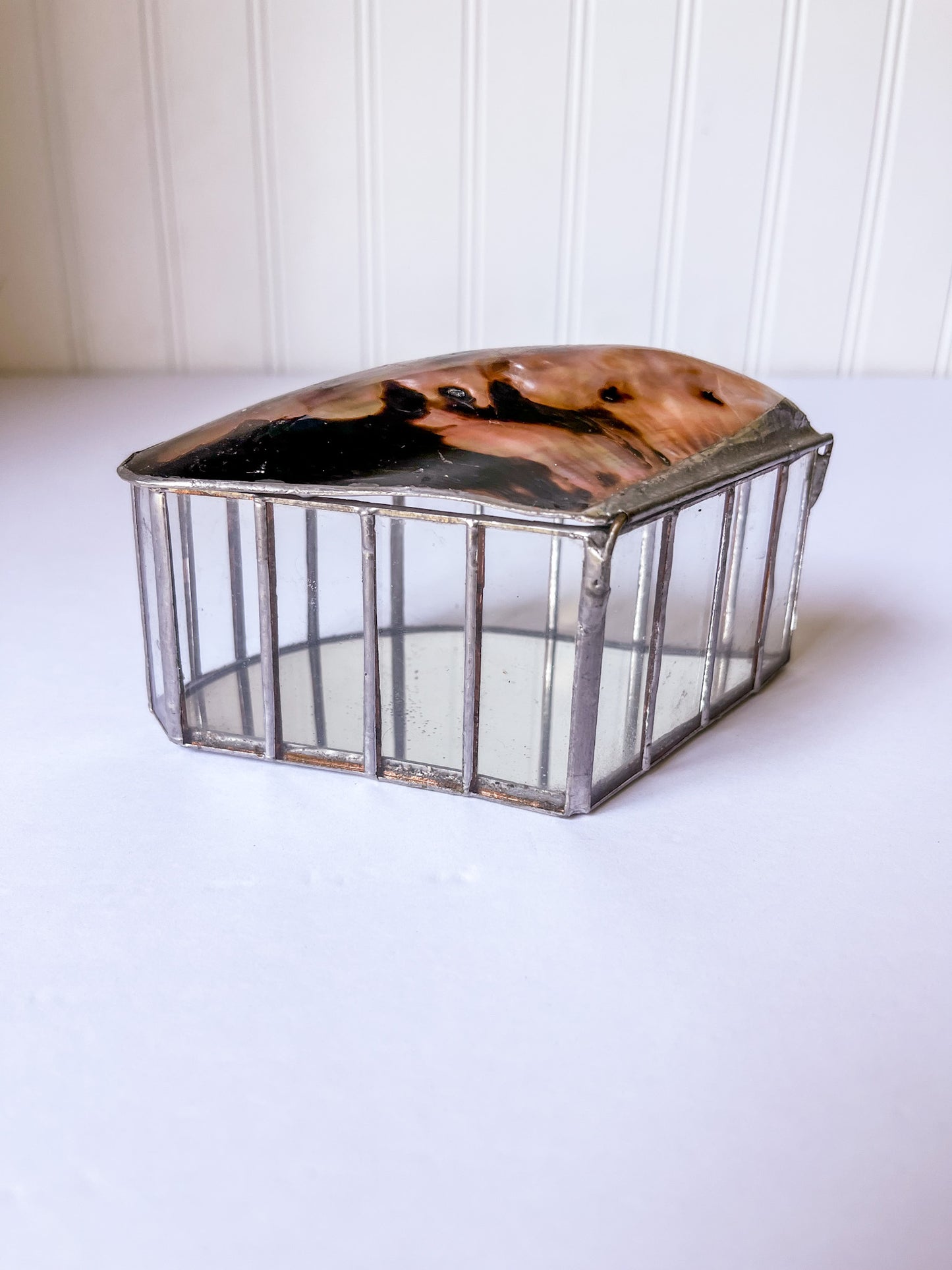 Brown Lipped Oyster Shell Welded Trinket Box