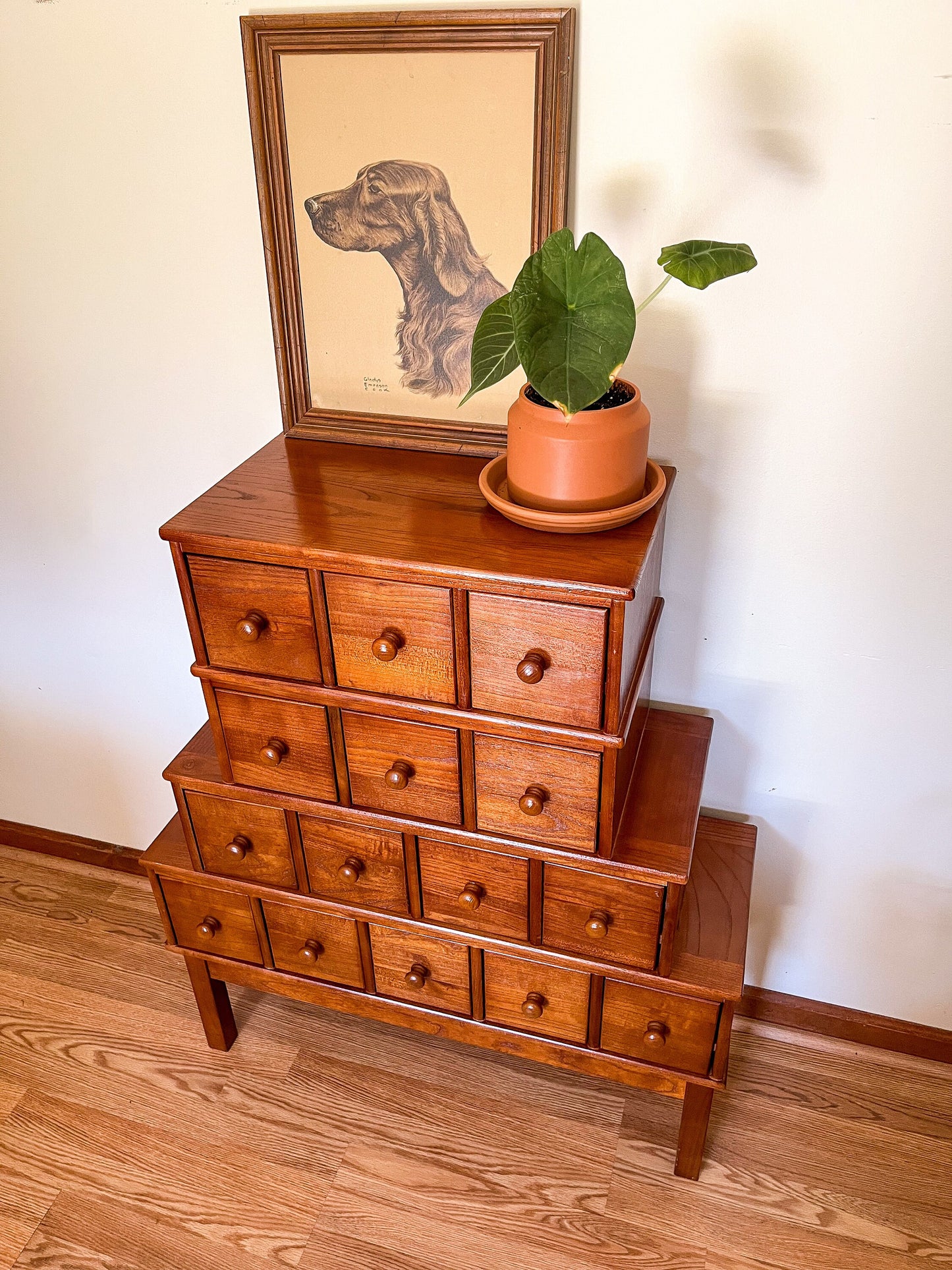 Apothecary Cabinet, 15 Drawer Card Catalog Cabinet