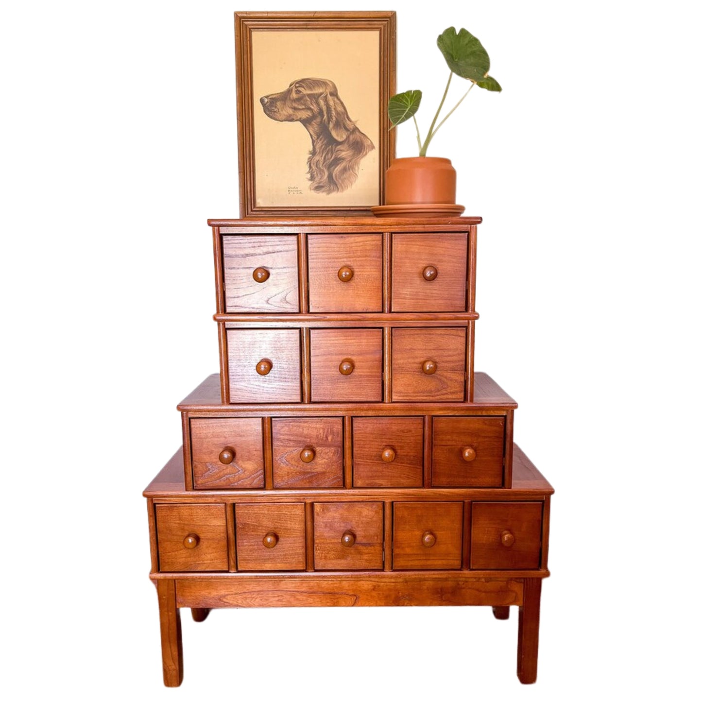 Apothecary Cabinet, 15 Drawer Card Catalog Cabinet